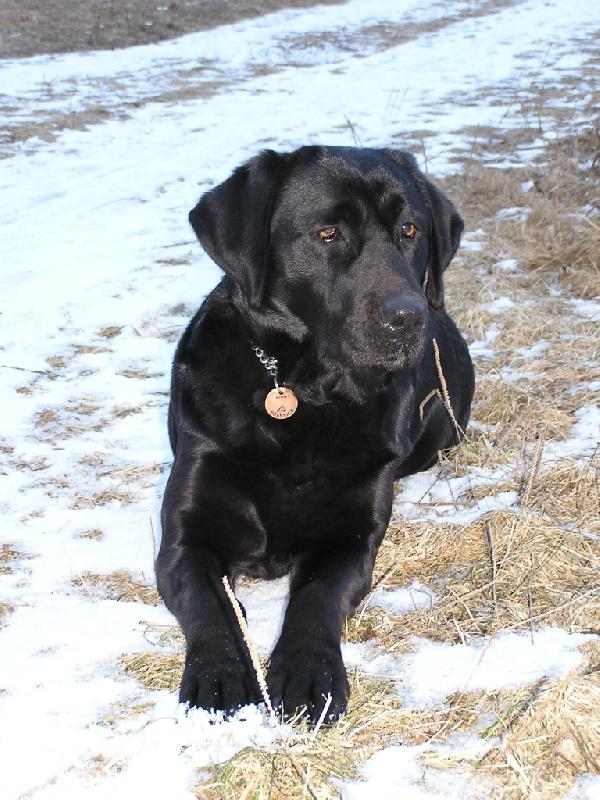 Foto: Brita-kr�sn� proch�zka