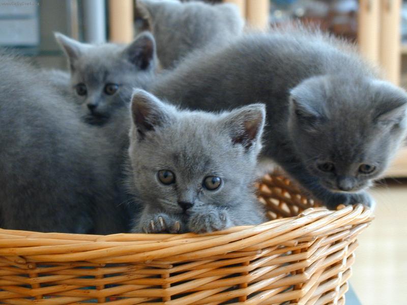 Foto: Up��mn� pohled