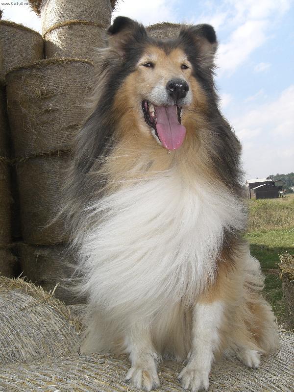 Foto: Beku�ka-19.9. 2006