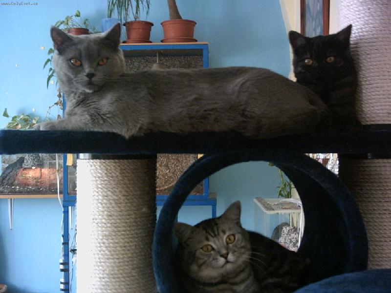 Foto: odpoledn� siesta