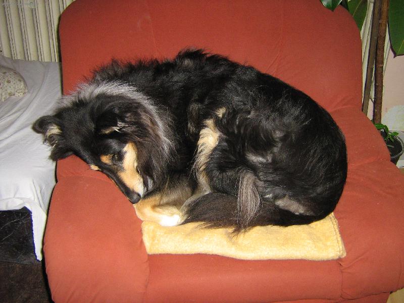 Foto: ...bez konemt��e...-...bez koment��e...