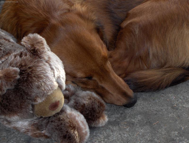 Foto: �end�k-�end�k a haj�nek