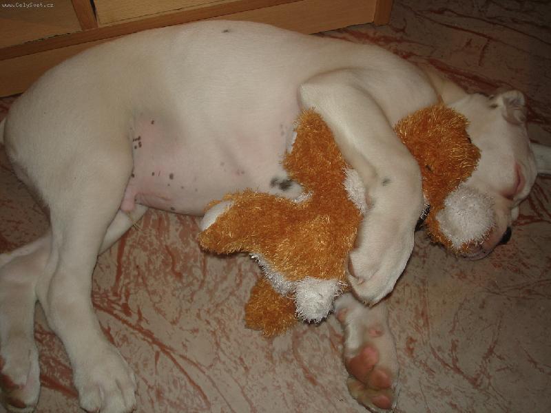 Foto: S�m neusnu-Sp�c� Done�ek