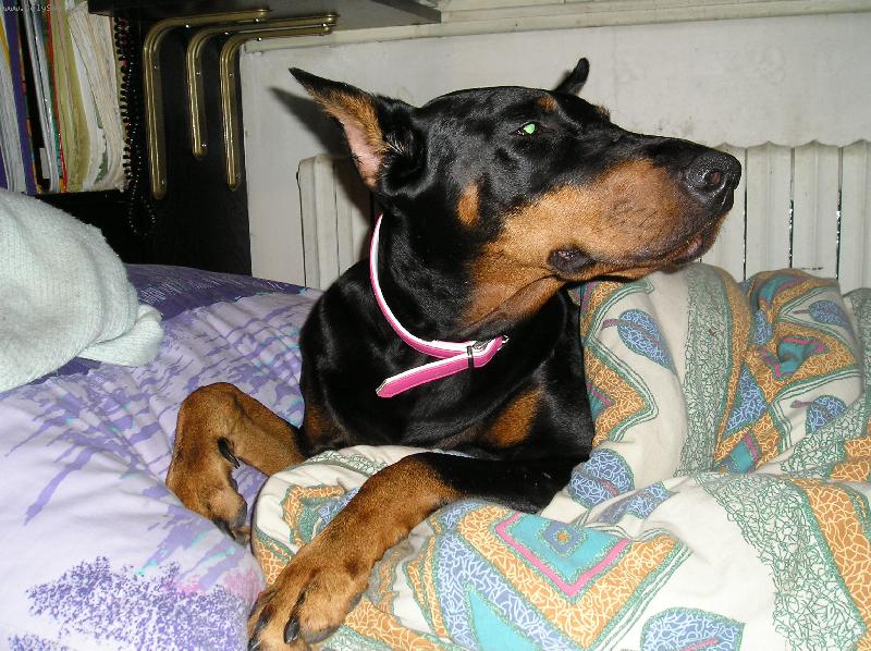 Foto: MA�ENKA-HAJ�