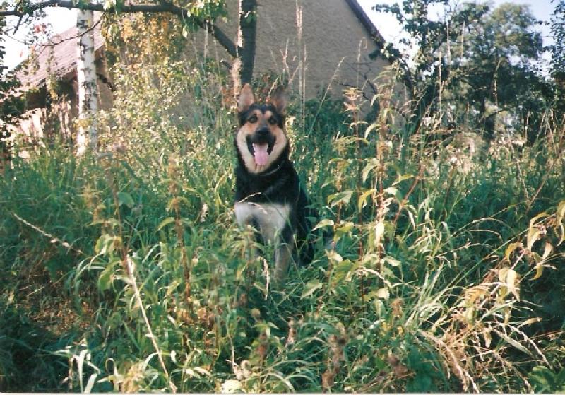 Foto: poctiv� hl�d�m...