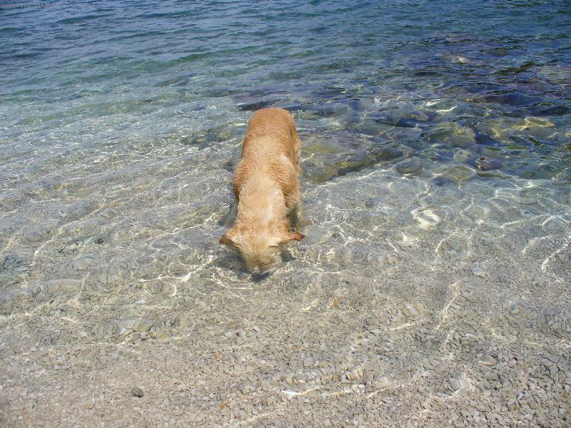 Foto: Kde je ta mu�li�ka?-Buddy