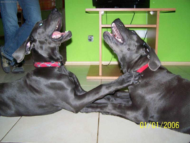 Foto: P�veck� duo-Sestry v akci