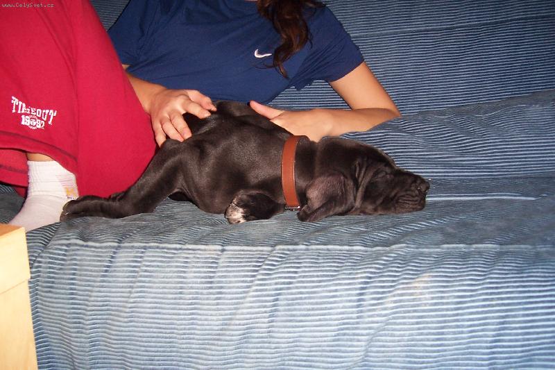 Foto: neru�it spink�m....