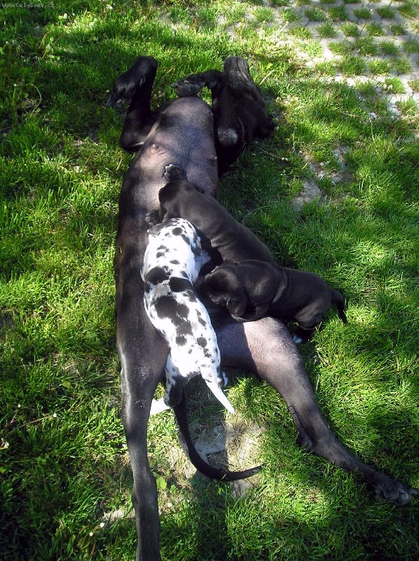 Foto: Kouzeln� m�ma-Maminka s mim�ama