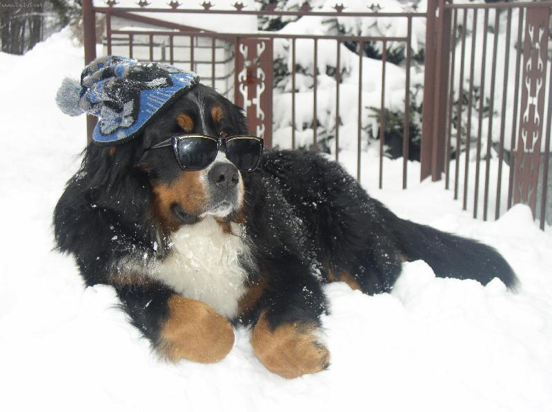 Foto: Bad ve sn�hu-...jdu s m�dou....