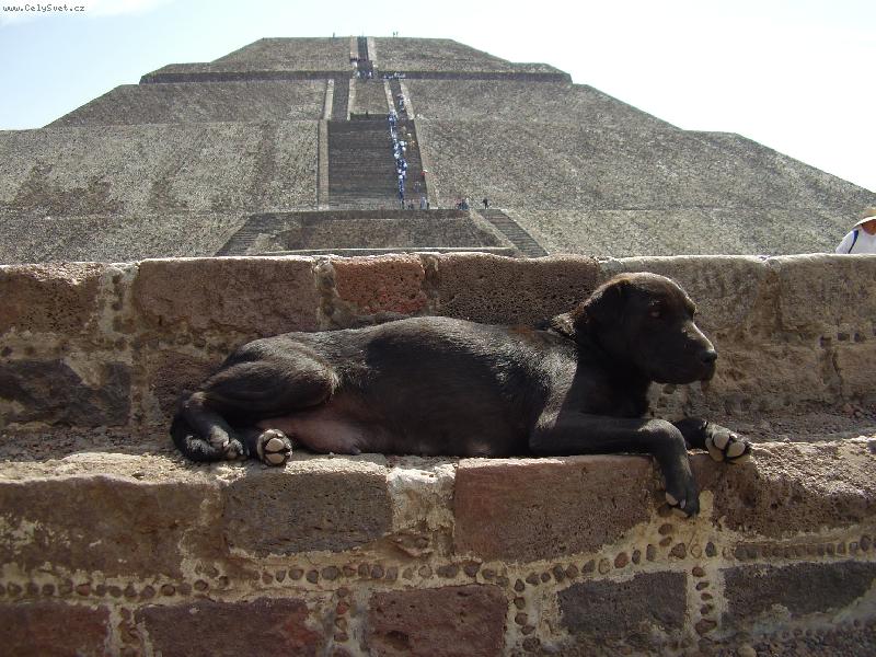 Foto: Teotihuac�n hl�da� pyramidy