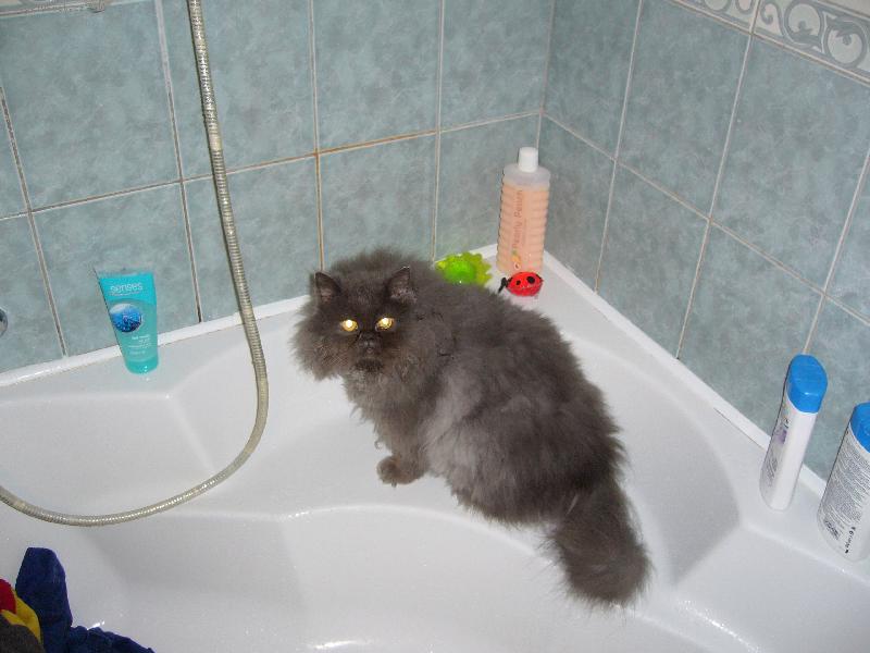 Foto: Mat�sek ve van�