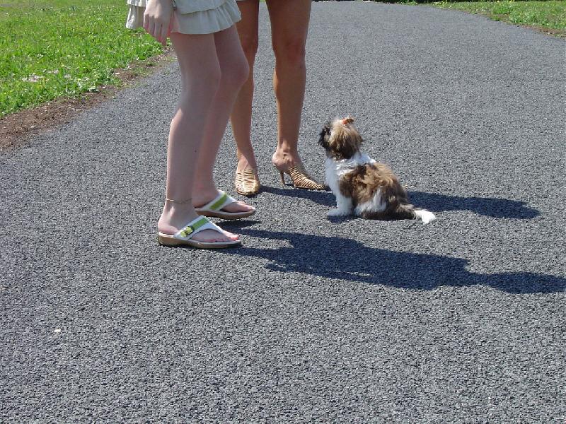 Foto: Besinka se jde u�it testy auto�koly-co dodat