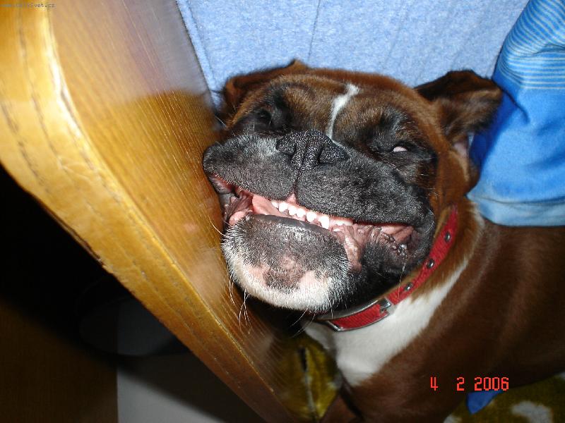 Foto: Bax�k-�sm�v, pros�m!!!