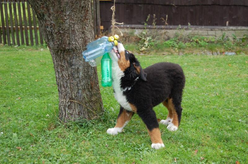 Foto: Ben a jeho hra�ka :D