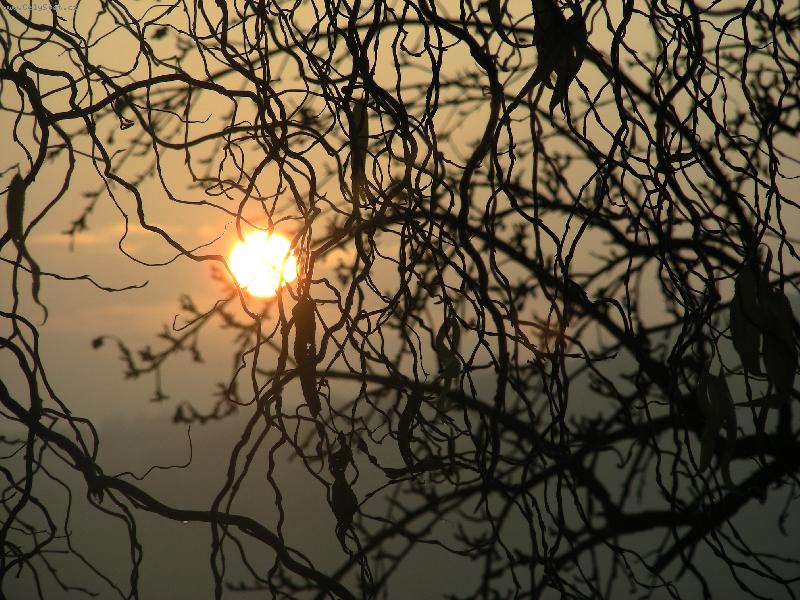 Foto: V�chod slunce-V�chd slunce