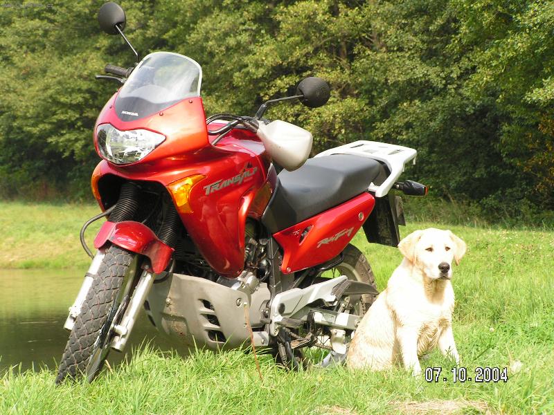 Foto: Benny-narozky :-)