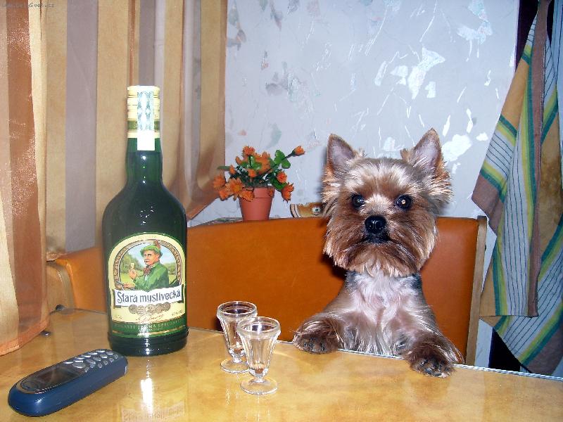 Foto: Tak kdo si se mnou d�??