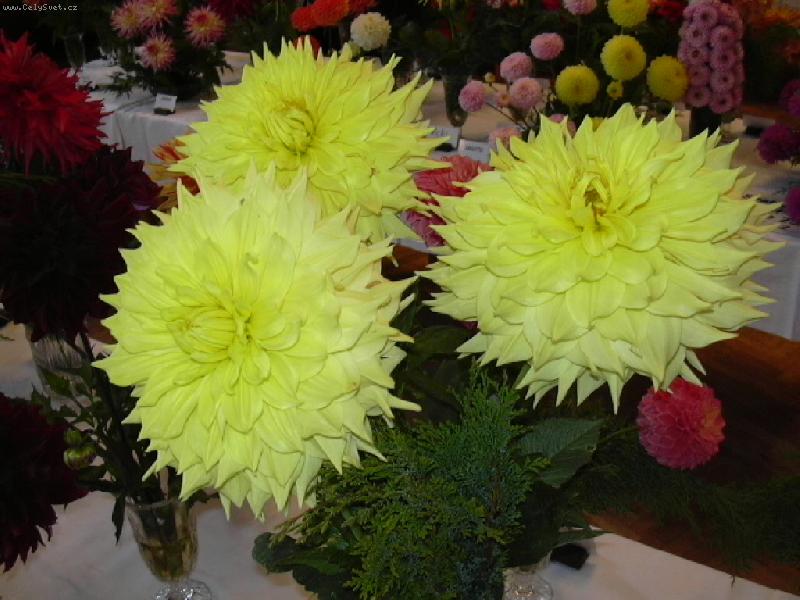 Foto: Ji�iny-V�stava