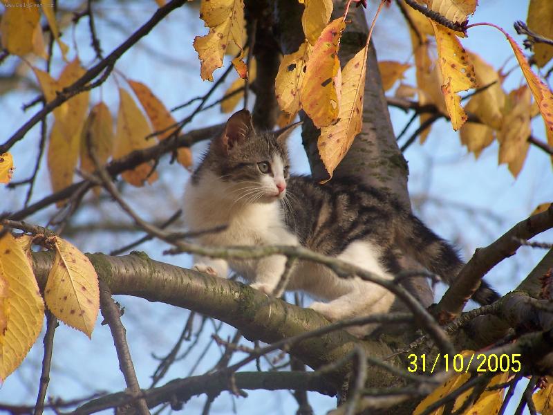 Foto: M�me tu podzim