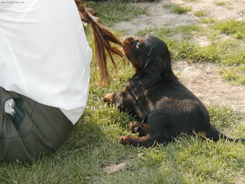 Foto: M�am, to je dobrota!