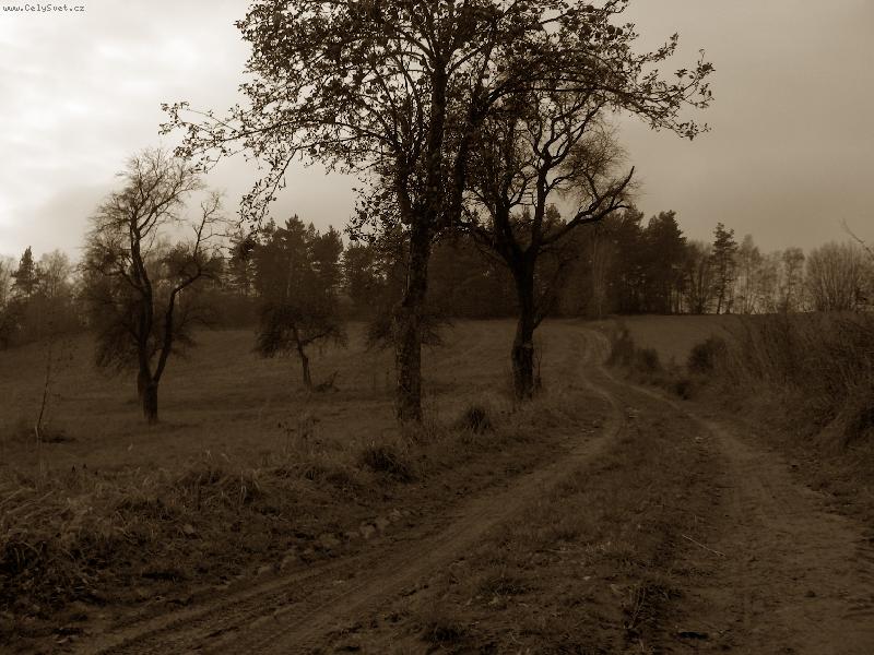 Foto: Cesti�ka-.....