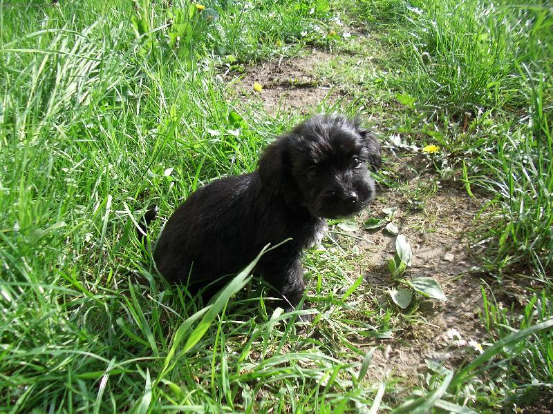 Foto: �e jsem kr�sn� ???