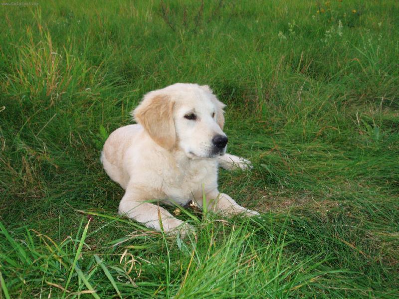 Foto: pohodi�ka tu m�m r�d-Ron��ek