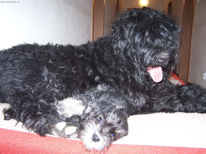 Foto: Ani velikost n�s nerozd�l�