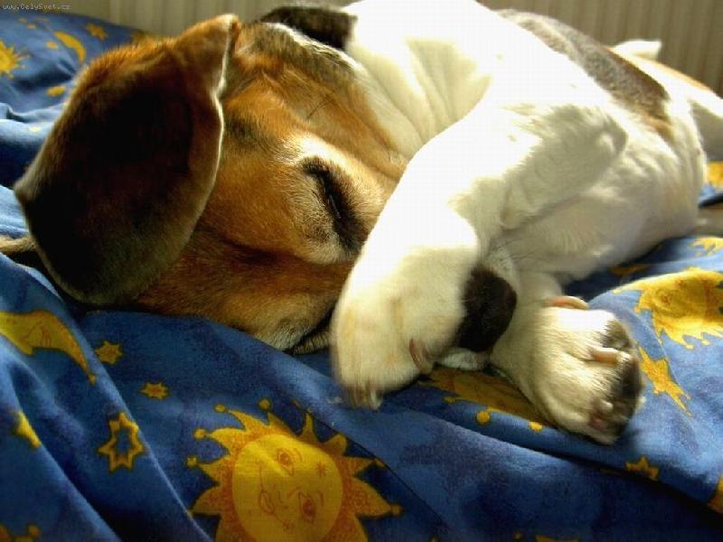 Foto: jej to tak sv�d�