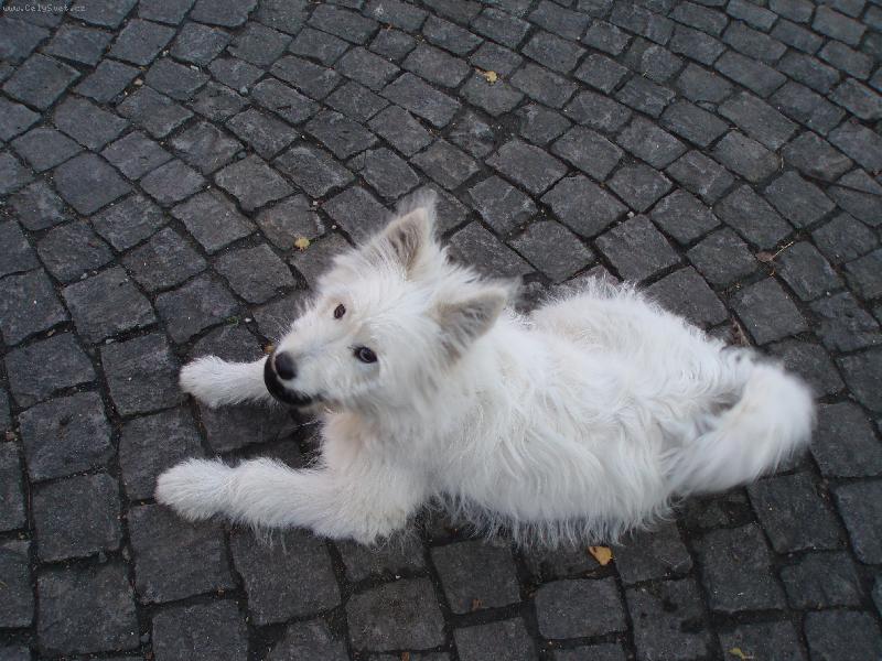 Foto: BEN APORTUJE-BEN APORTUJE �ERN� M��EK