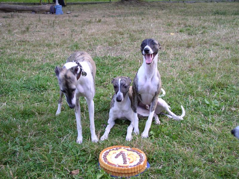 Foto: U� m��em?-U� m��em?