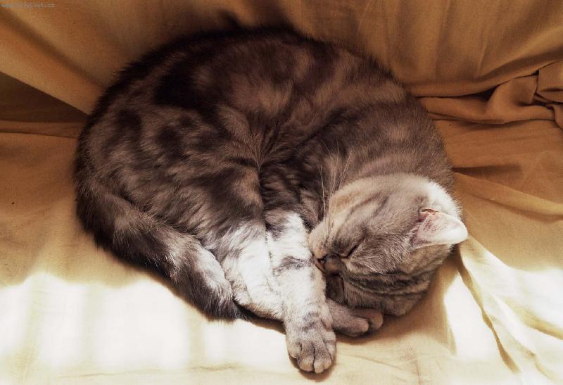 Foto: M�a spink�-No a to jsem j� sp�c�;-)