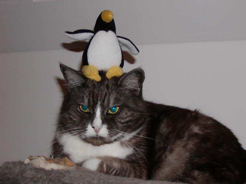 Foto: Maggie