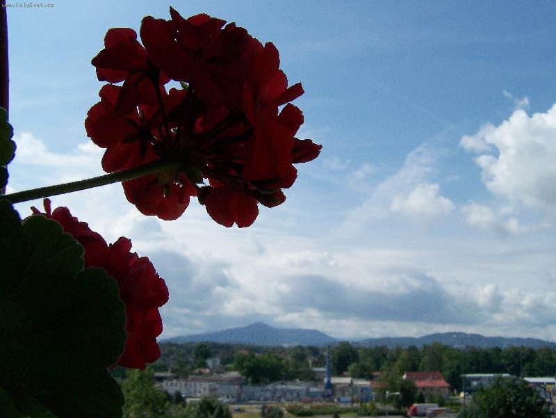 Foto: Mu�k�t-Fr�dek- M�stek