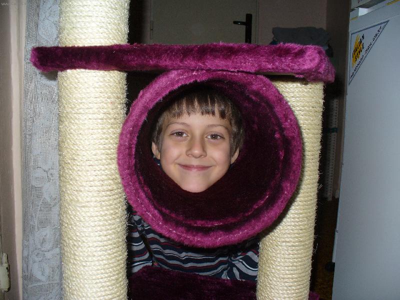 Foto: Zaj�mav� kocour...,�e by nov� rasa?