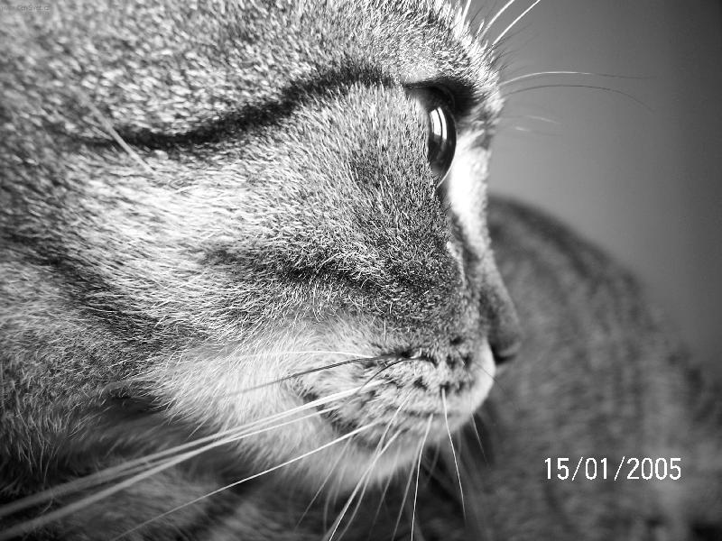 Foto: Merylin I.