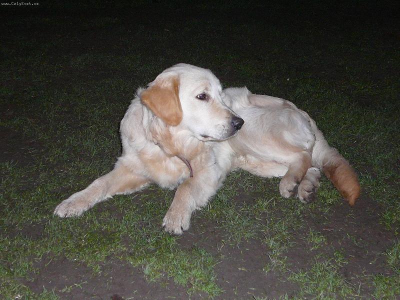 Foto: to je pohodi�ka-Ron��ek