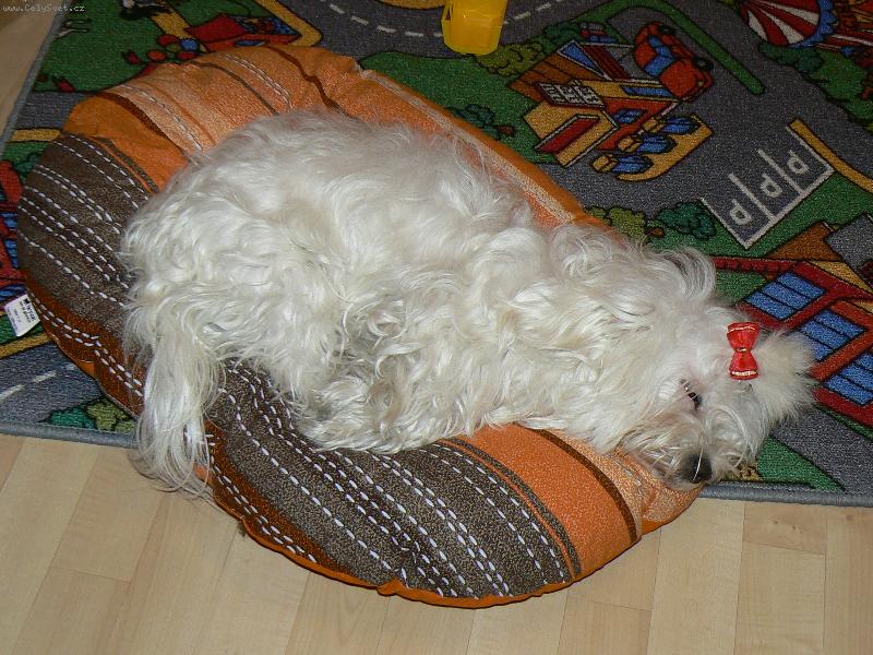 Foto: Vianoce-Viano�n� �nava