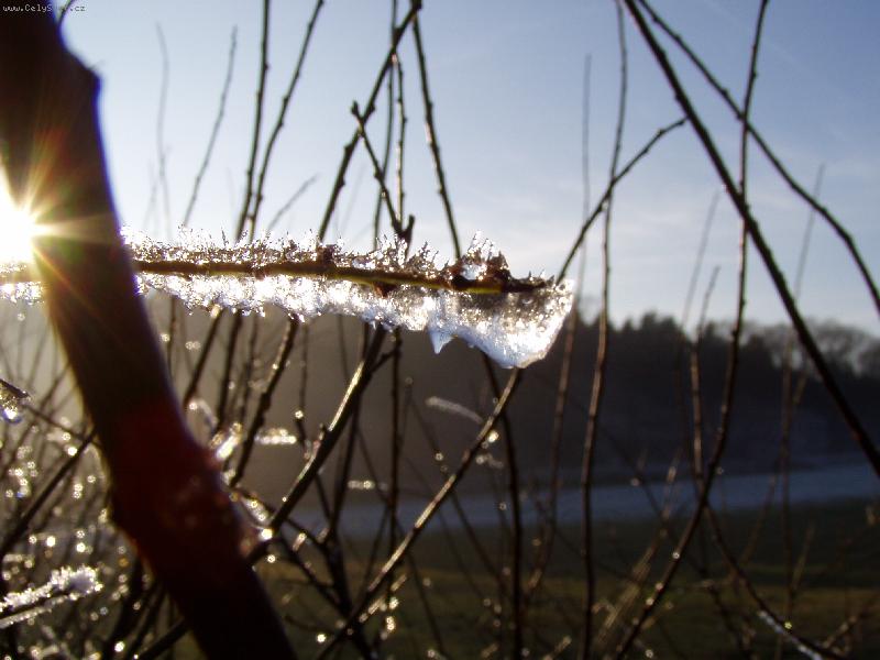 Foto: Ledov� obejmut�......