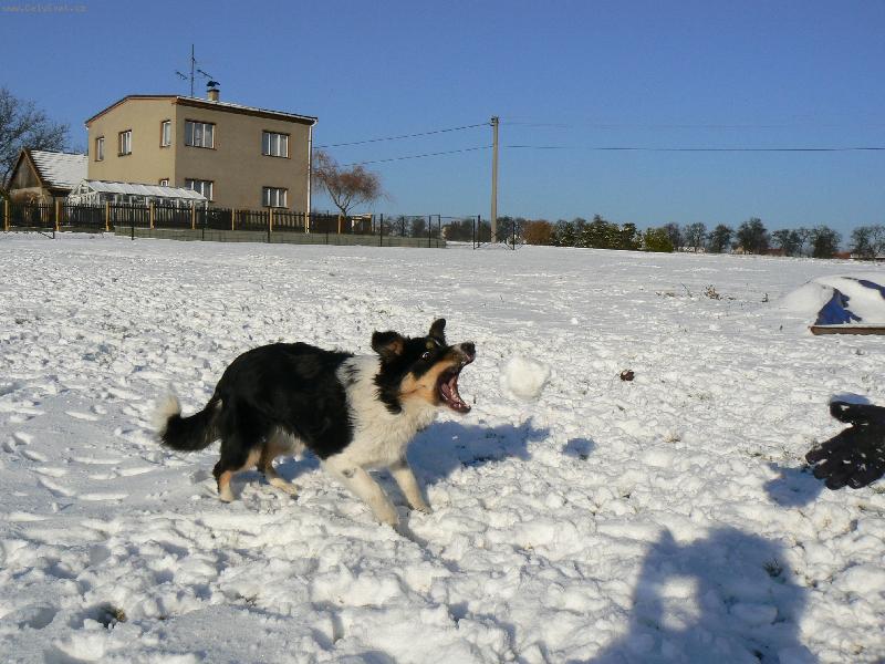 Foto: Chrrraaammmmsssttt....-Chytnu t�!