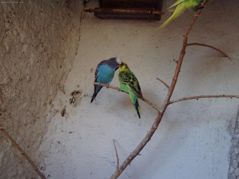 Foto: Nastala ta prav� chv�le-Neru�te!