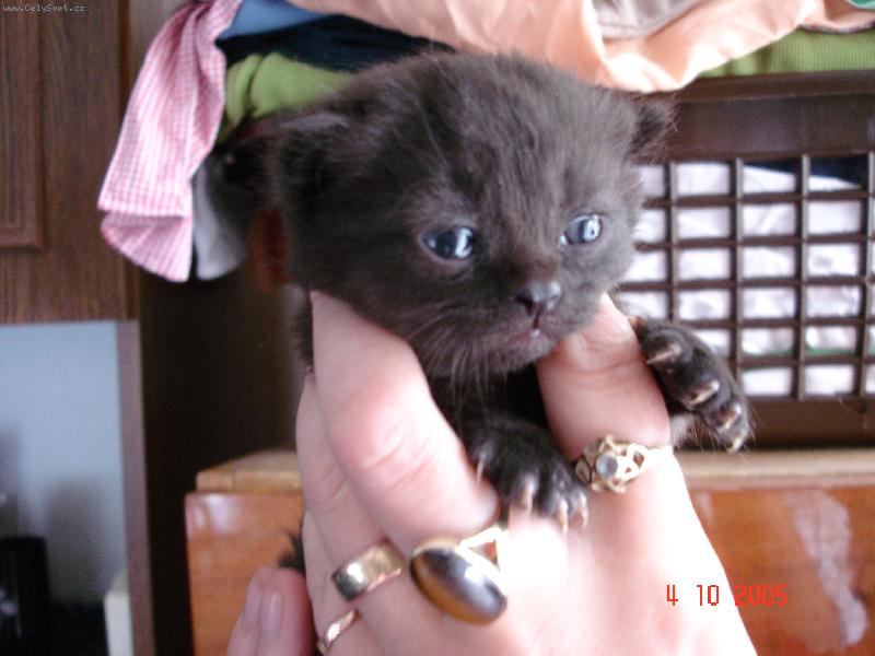 Foto: v�t�� ne� prst�nek