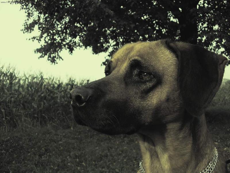 Foto: Star� �asy...