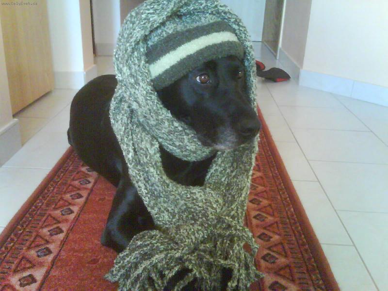 Foto: Na�e par�dnice Sany.