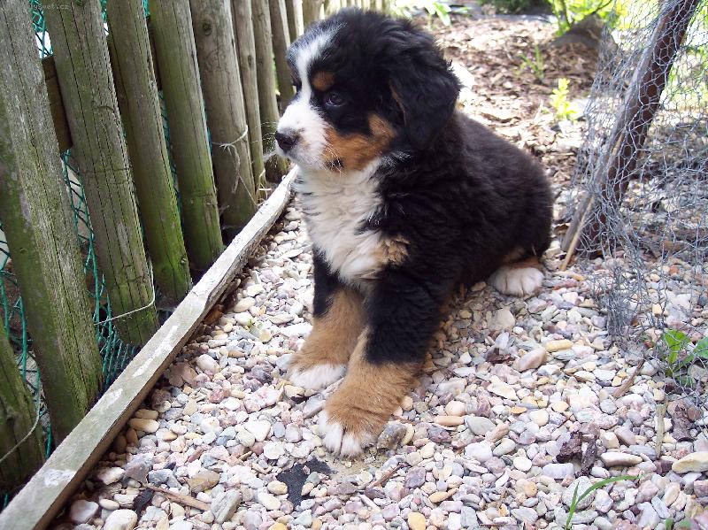 Foto: Kellynka-mi���ek n� chlupatej=)