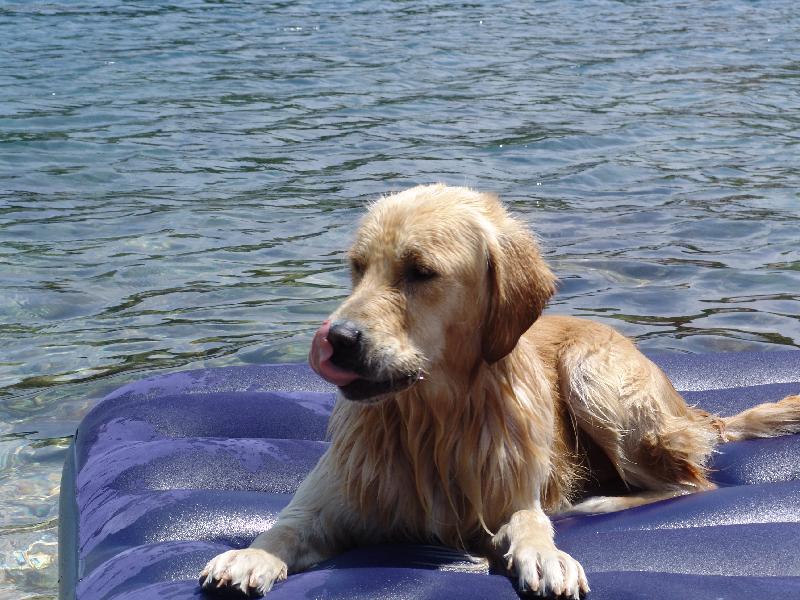 Foto: U mo�e je nejl�p.-Buddy