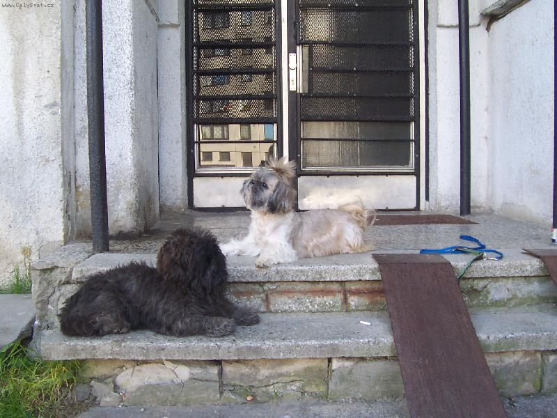 Foto: kam koukaji-na koho asi tak koukaji?