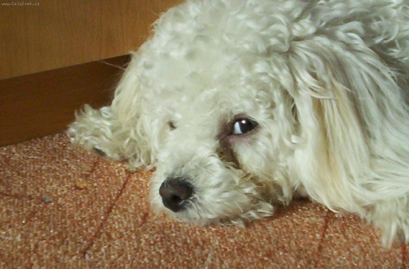 Foto: Zdrav�m v�s!!!