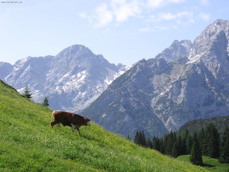 Foto: Milka kam se pod�v�